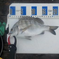 初筏かかり釣り〜舞鶴吉田たかし丸〜