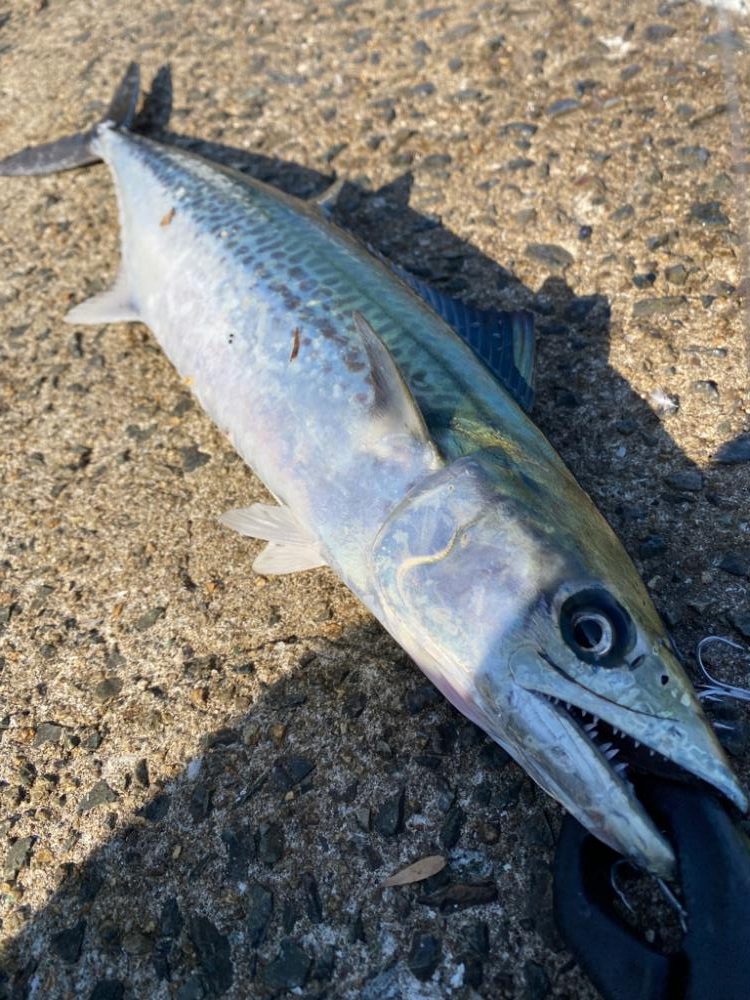 内向きでした。