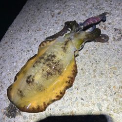 調子が良くない