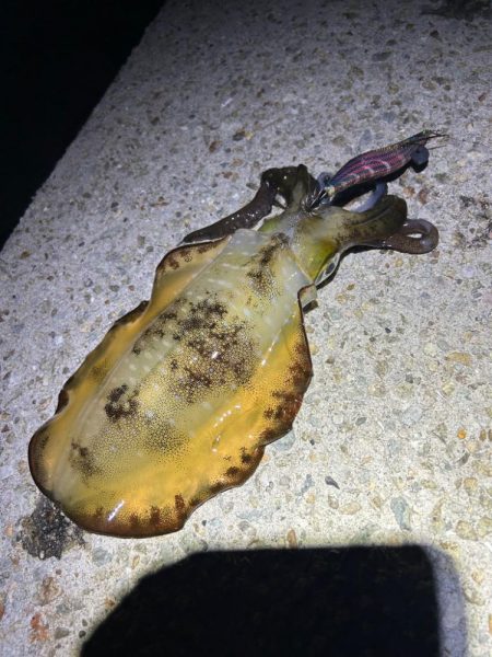 調子が良くない