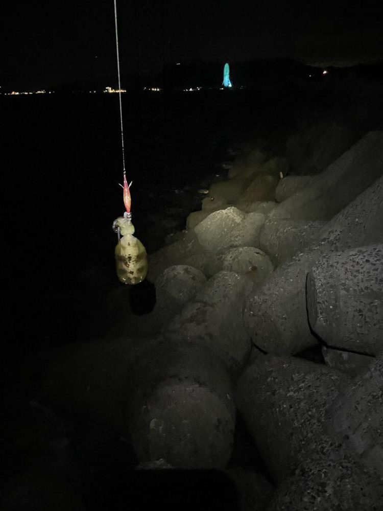 バクフウとウネリ