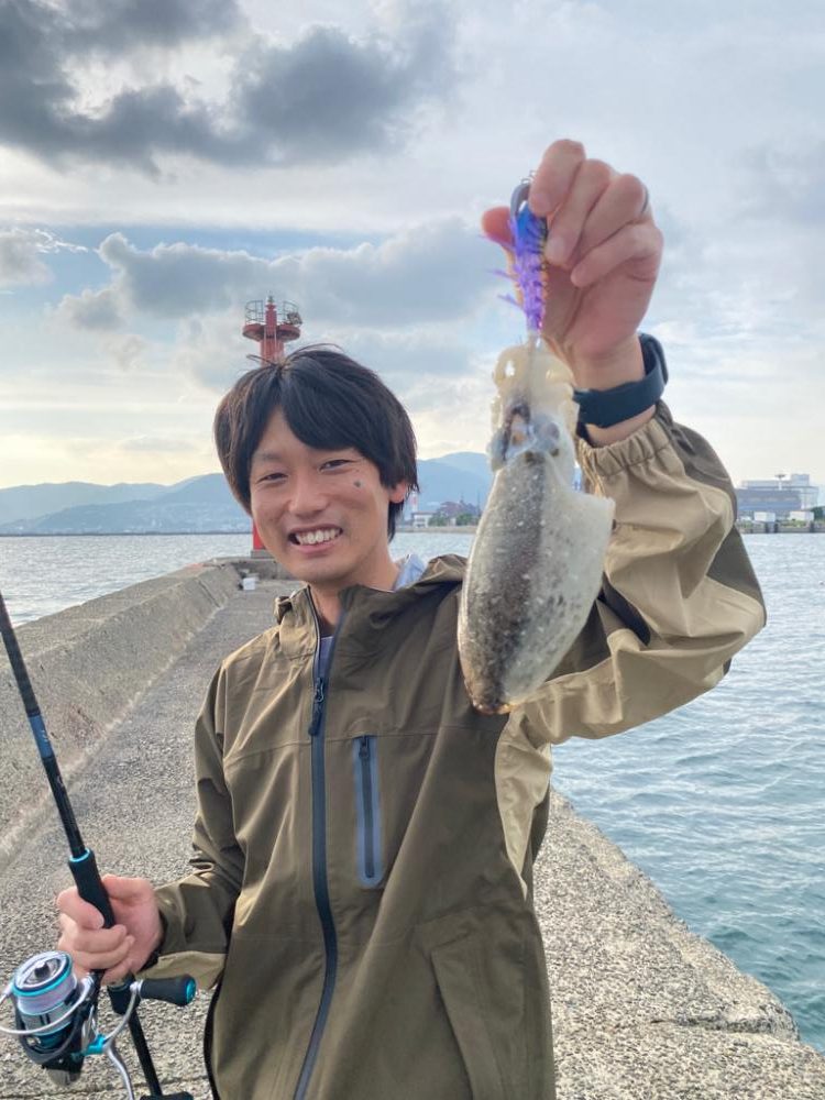 コウイカとイイダコばかり