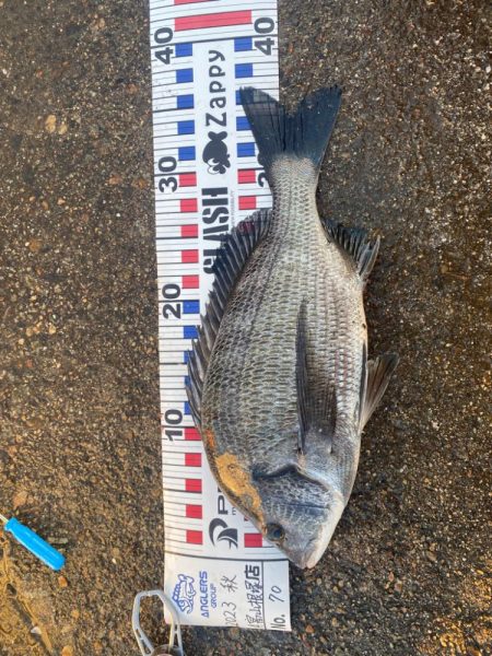 ダンゴ釣りのデビュー