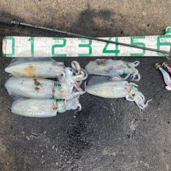 2023 佐渡ヶ島エギング 42回目【10…