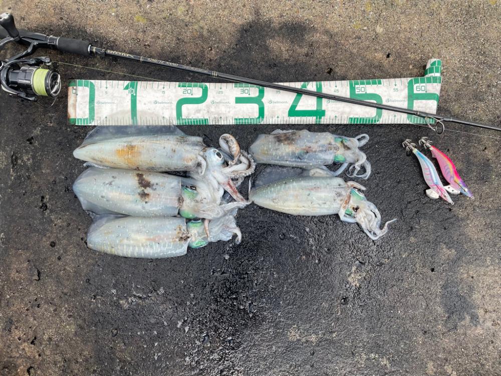 2023 佐渡ヶ島エギング 42回目【10月28日】