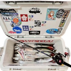 タチウオ/タチウオテンヤ・ジギング