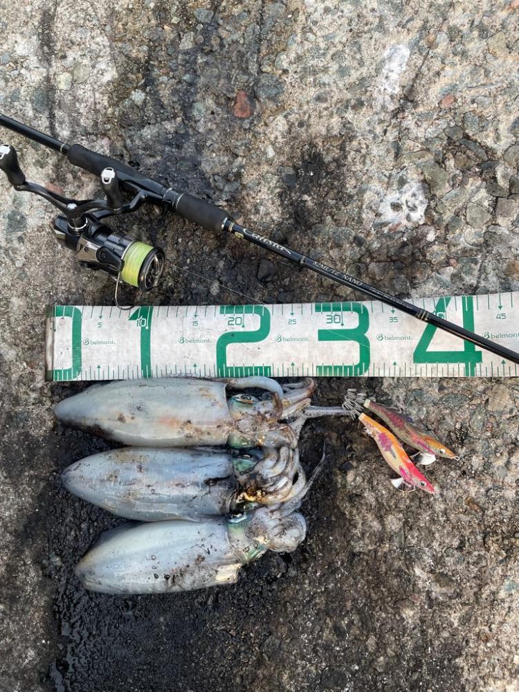 2023 佐渡ヶ島エギング 34回目【10月19日】