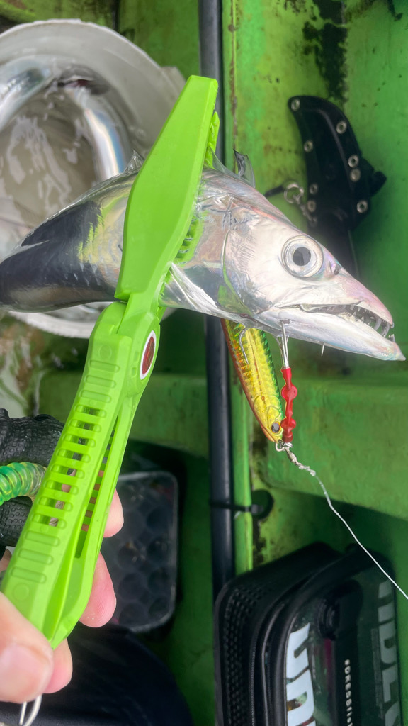 渋いではなく過酷（苦笑）