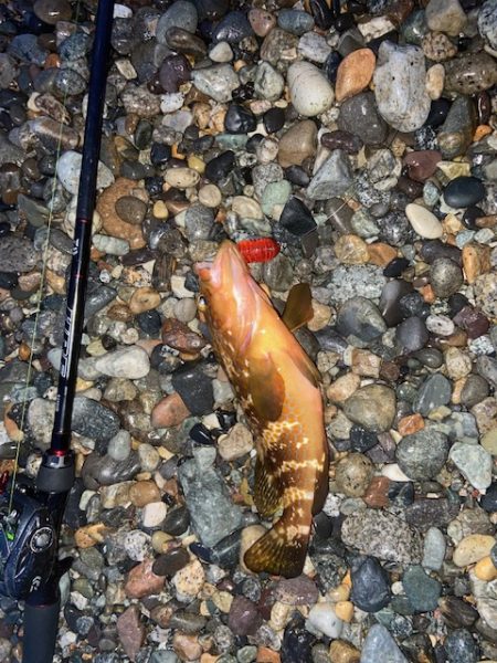 釣り方がダメなのか？