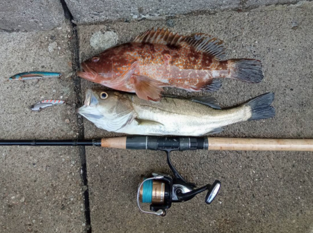 プチsalt water game