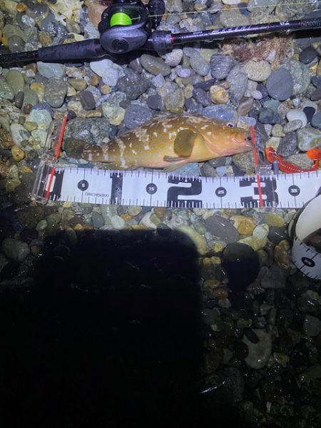 40cmオーバーを探して。。。