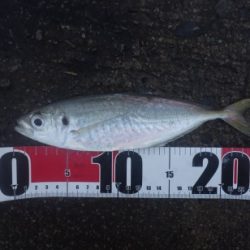 曇り空の下は若潮