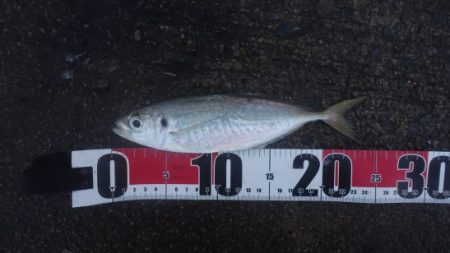 曇り空の下は若潮