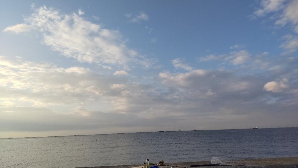 ハイシーズンではないのかい💦