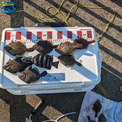 カワハギ釣りにはまりました。