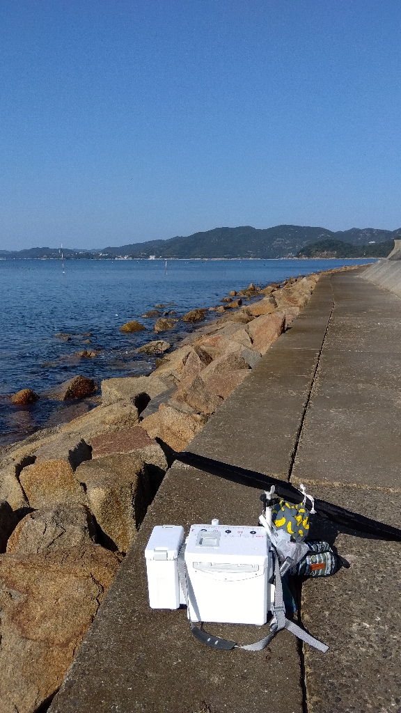 苅屋海岸のキス釣り