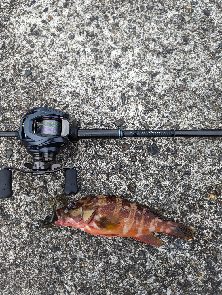 陸っぱり釣行記