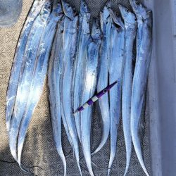 オール阪神杯でタチウオジギング