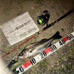 わーははははは