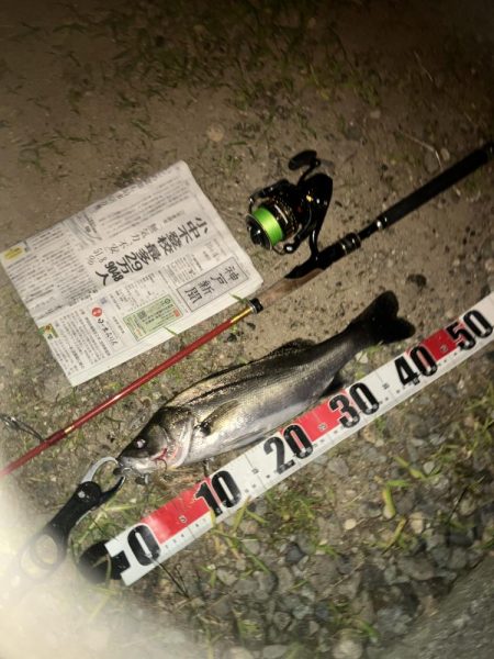 わーははははは