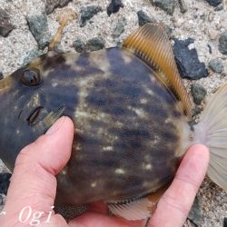 爆風で根掛かりとの闘い