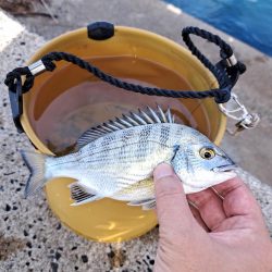 遅めの夏休みでキス釣り