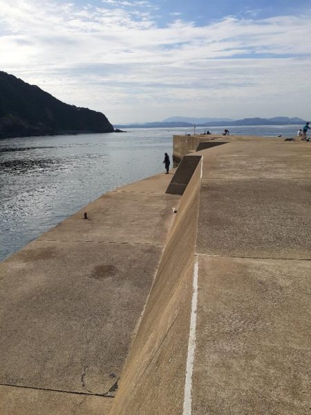 ギリギリセーフ🦑