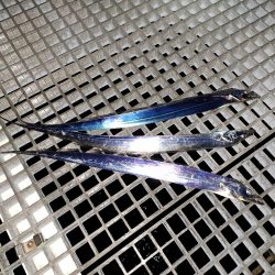 秋の夜長にタチウオ釣り