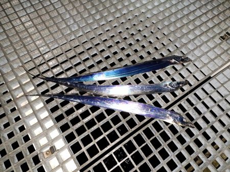 秋の夜長にタチウオ釣り