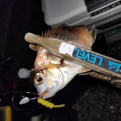 やっぱ、ホームでしょ