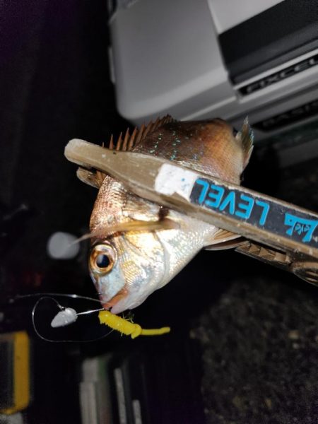 やっぱ、ホームでしょ