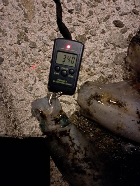 サイズが小さい