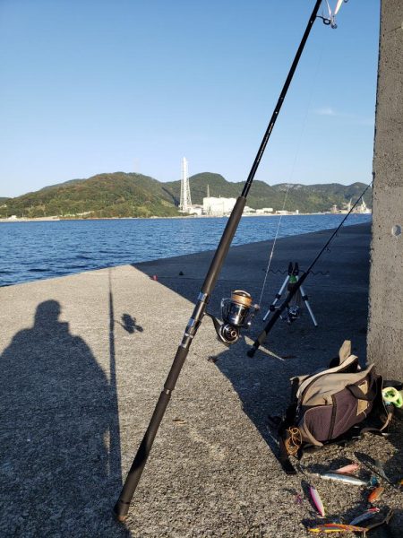 青物は留守でした！