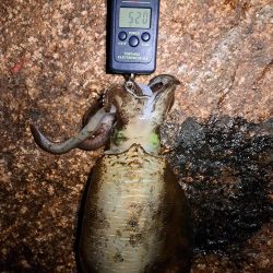 当たりが遠のいてきました。