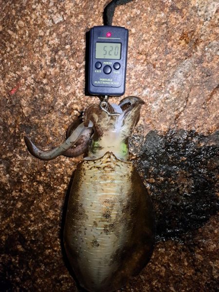 当たりが遠のいてきました。