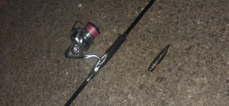 西宮周辺 トップシーバス