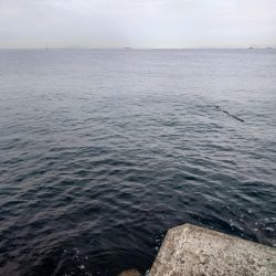 ショアジギジギ