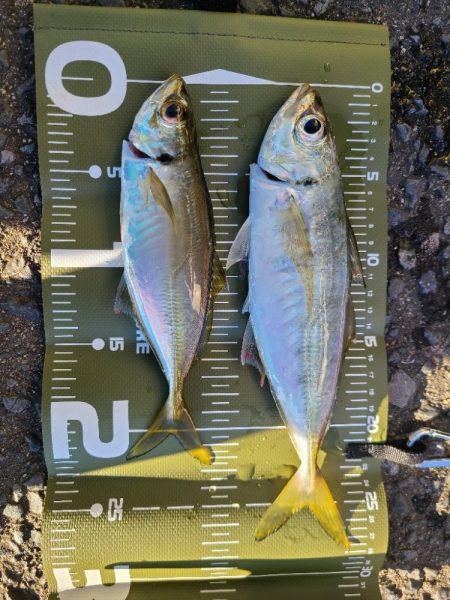 仕事の前の朝練