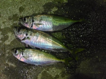 釣れたら嬉しいね😆