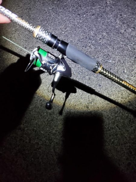 ナイトエギング