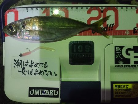 イベントアジング参加２日目