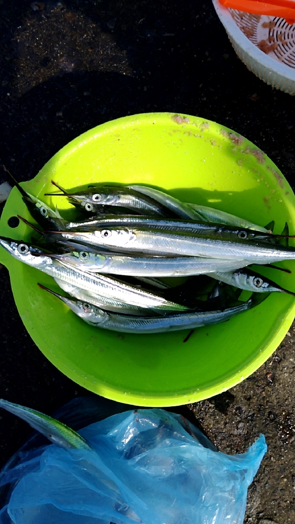 釣れるものを確実に釣る