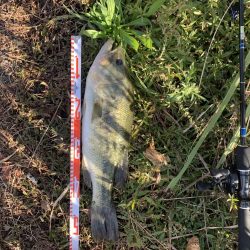 張込みでサイトフィッシング❗️