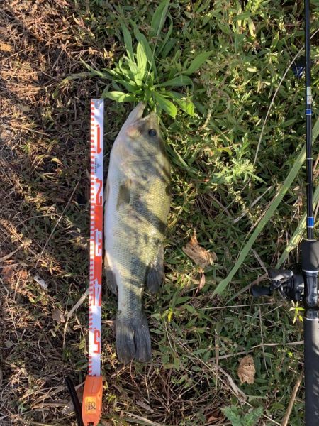 張込みでサイトフィッシング❗️