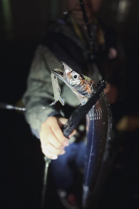 タチウオ爆沸き！！