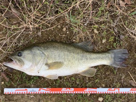 久しぶりのバス！