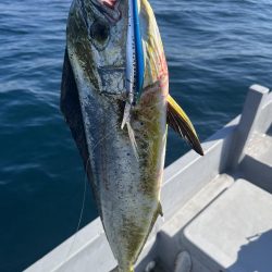 古江湾レンタルボートにて