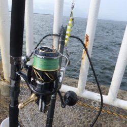 ボウズは逃れた