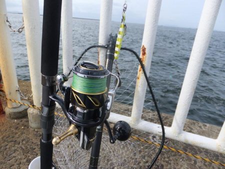 ボウズは逃れた