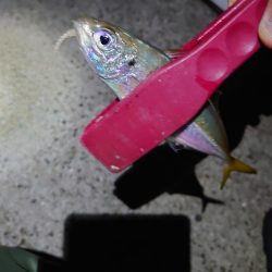 アジング再現性